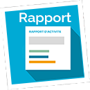 Visualisation Rapport Do it ! animation plan d'action